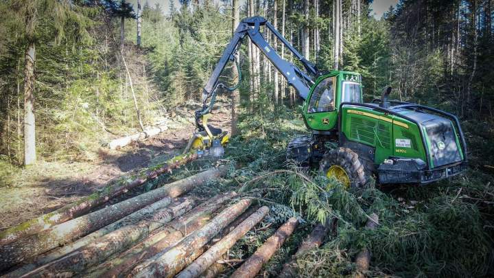 Négoce de bois Rhône-Alpes